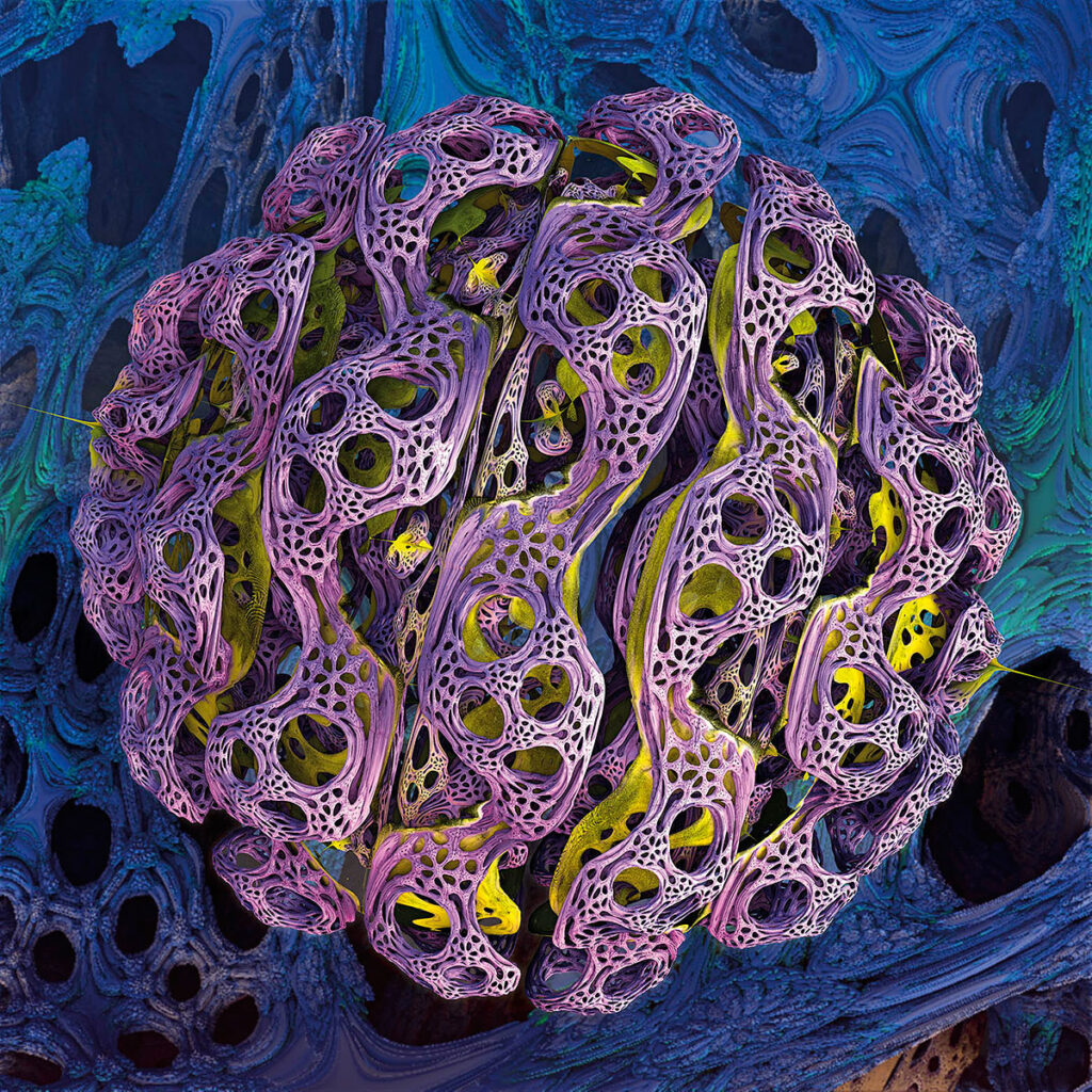 Microscopia digitale di un corpo globulare viola fenestrato con fori, ricorda una struttura organica.